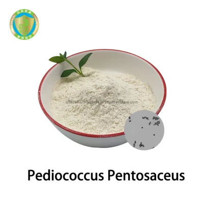 Ingredientes alimentarios de Pediococcus Pentosaceus de China